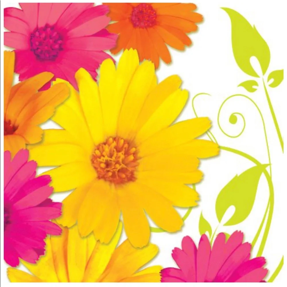 Daisy Scroll 2-ply Paper Luncheon Napkins, 18 ct